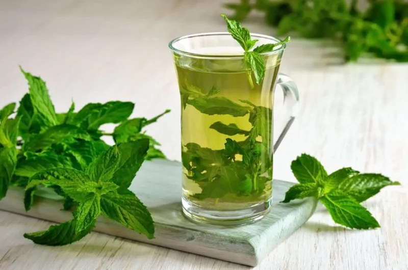 عرق نعناع، شگفتی طبیعت برای سلامت